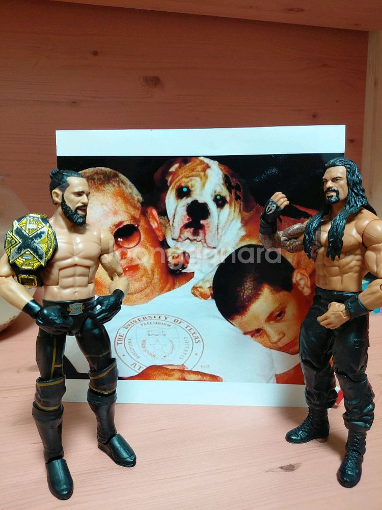 WWE 피규어 세스 롤린스와 로만 레인즈--0