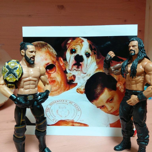 WWE 피규어 세스 롤린스와 로만 레인즈