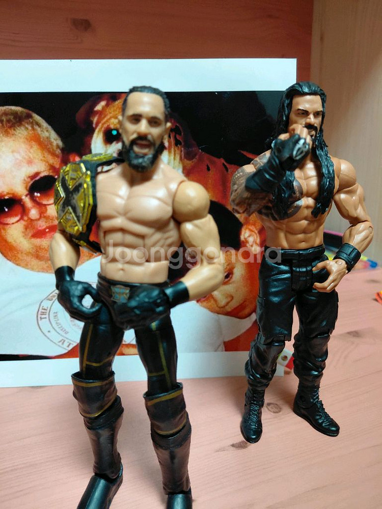 WWE 피규어 세스 롤린스와 로만 레인즈--1