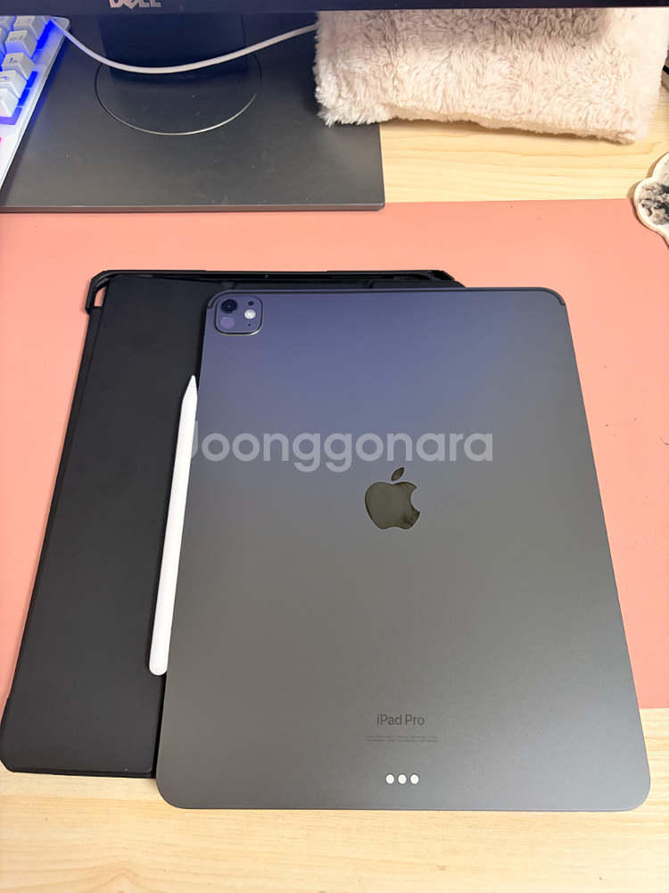 아이패드 프로 m4 13인치 7세대 256기가 스그 와--1