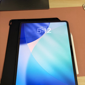 아이패드 프로 m4 13인치 7세대 256기가 스그 와