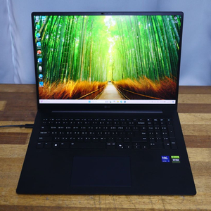 17인치 엘지 2025 그램 프로17 17ZD90TR