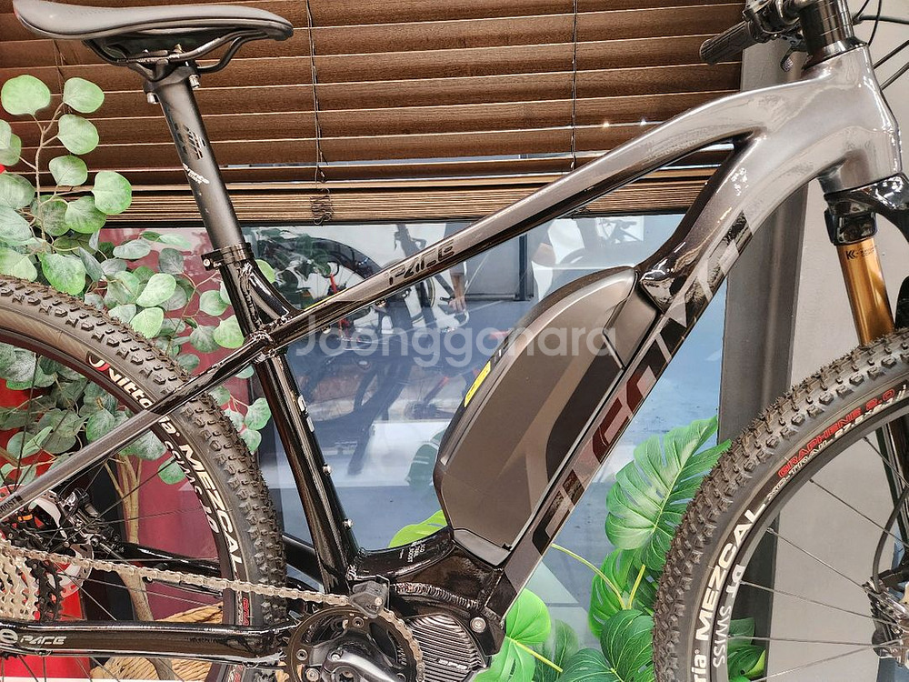 엘파마 E-pace 8 전기자전거--2