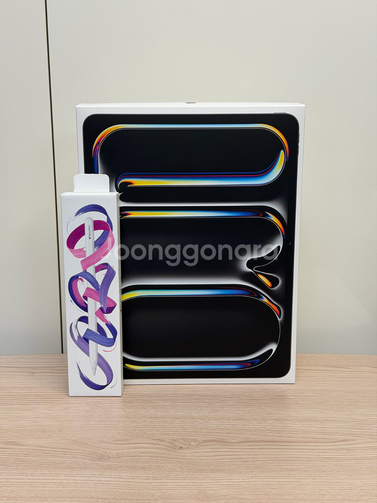 아이패드 프로 13인치 M4 셀룰러 256GB 펜슬프로--0
