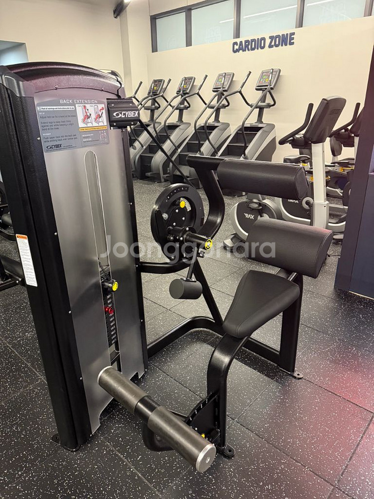 싸이백스vr3 백 익스텐션--0