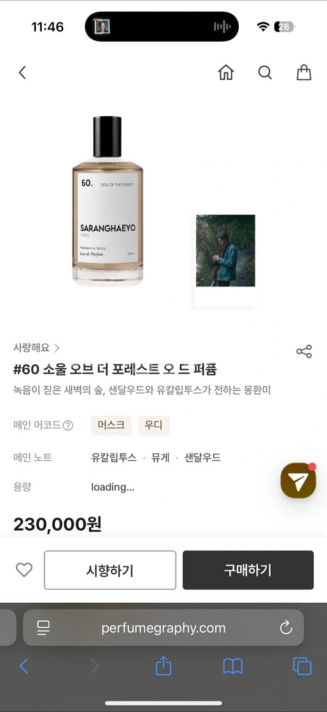 니치향수 사랑해요 60 소울 오브 포레스트 새상품--0