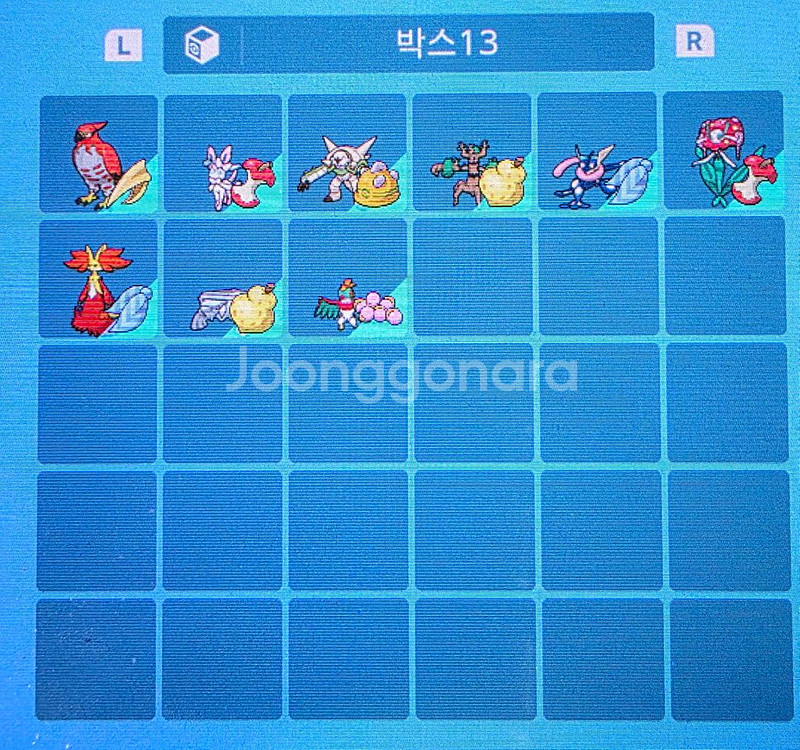 포켓몬 테라레이드 실전 배틀 샘플 분양(이로치)--5