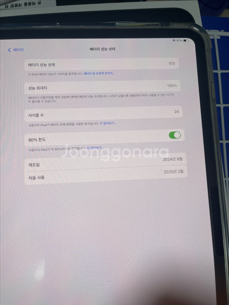 아이패드 프로 m4 13 wifi 256 스블--0