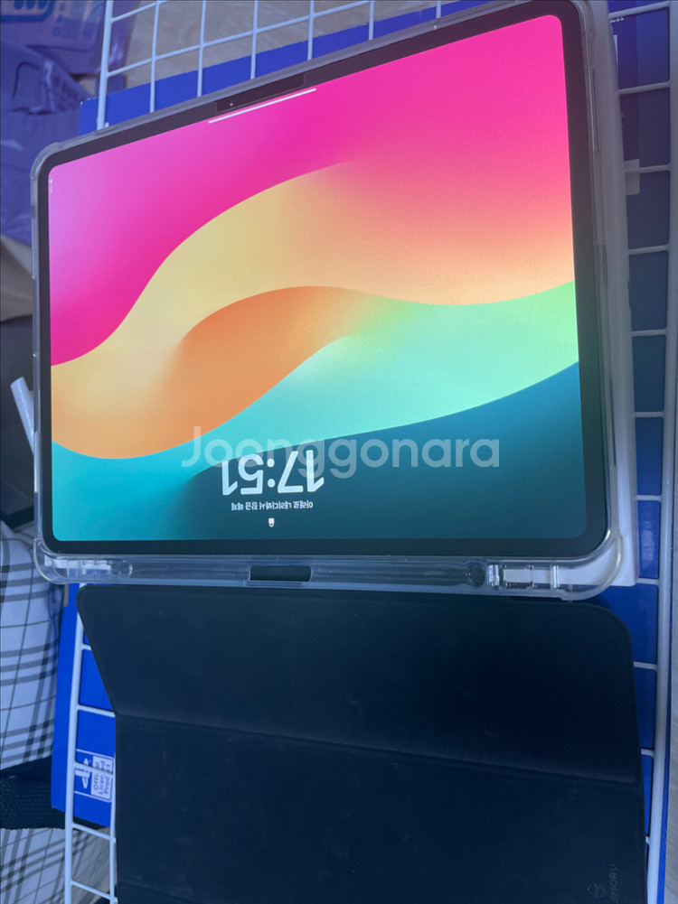 아이패드 프로 m4 13 wifi 256 스블--1