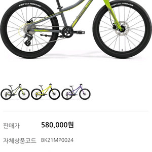 메리다메츠 24 신형 아동자전거(새거 수준)