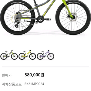 메리다메츠 24 신형 아동자전거(새거 수준)