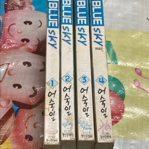 블루스카이 BLUE SKY 1-4완 어숙일 만화