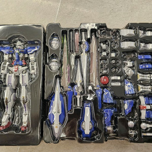 중천모형 엑시아 10주년 아이리스 코팅버전