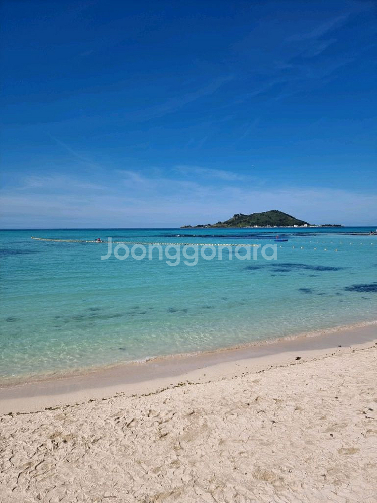 아이폰17프로512 미개봉오렌지--0