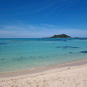 아이폰17프로512 미개봉오렌지