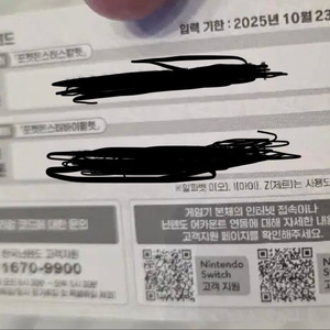 이로치 미라이돈 코드/포켓몬/닌텐도 스위치