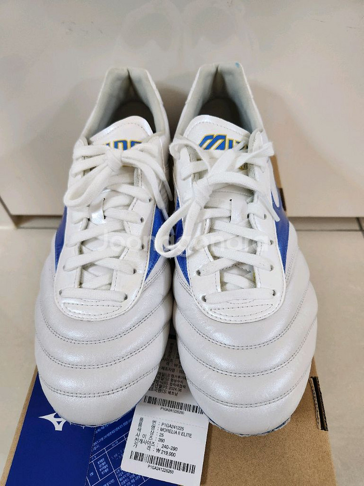 20분 1번신은/미즈노 모렐리아2 엘리트MD 260mm--2