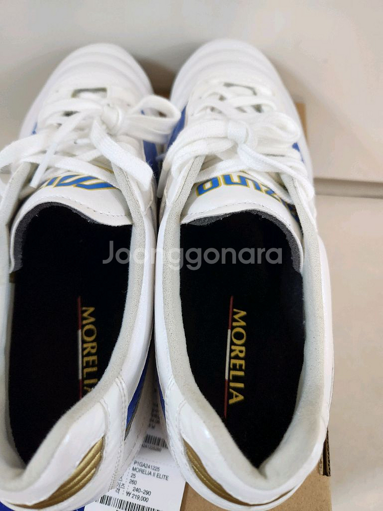 20분 1번신은/미즈노 모렐리아2 엘리트MD 260mm--4