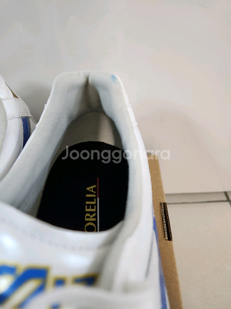 20분 1번신은/미즈노 모렐리아2 엘리트MD 260mm--7