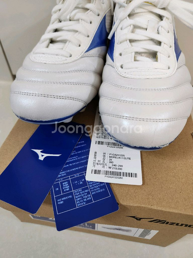 20분 1번신은/미즈노 모렐리아2 엘리트MD 260mm--6