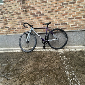 엔진11 크릿디 픽시