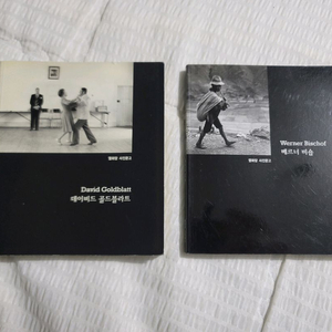 열화당 사진문고 베르너 비숍/데이비드 골드블라트 2권