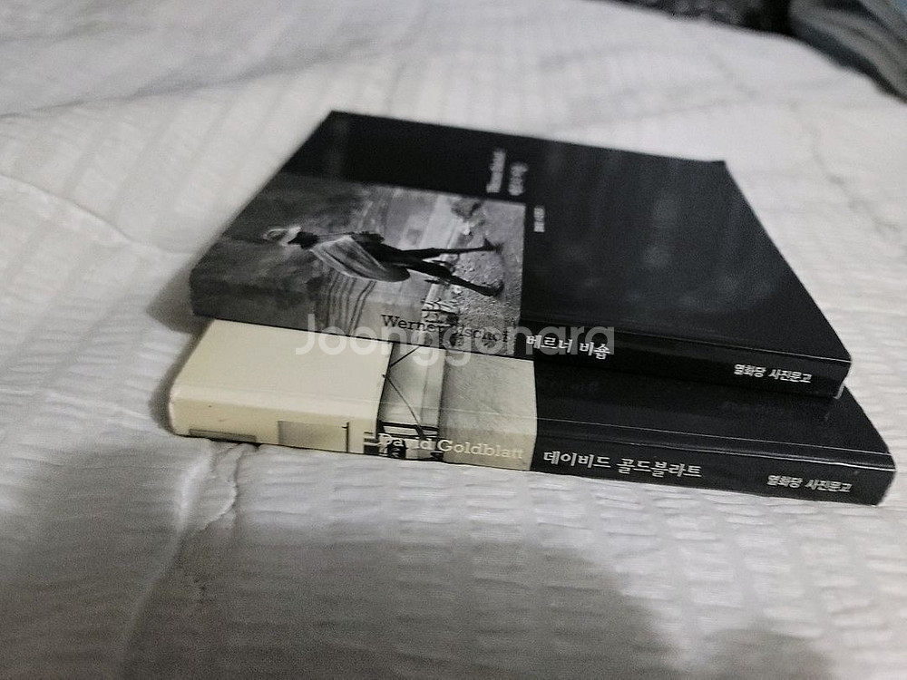 열화당 사진문고 베르너 비숍/데이비드 골드블라트 2권--1