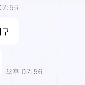 아난티 림 사기조심 가민 포러너 조심