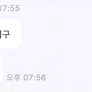 아난티 림 사기조심 가민 포러너 조심