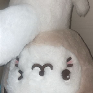 버블냥 가방(포카 포함)