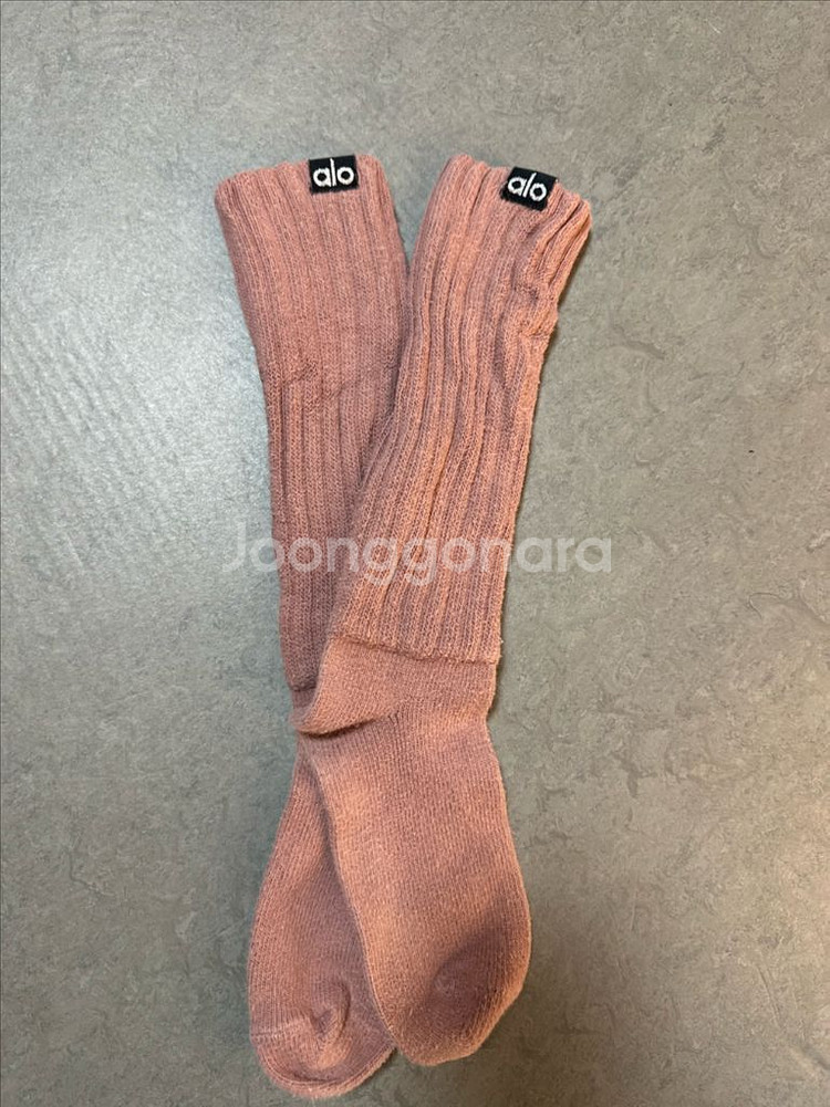 알로요가 롱삭스--0