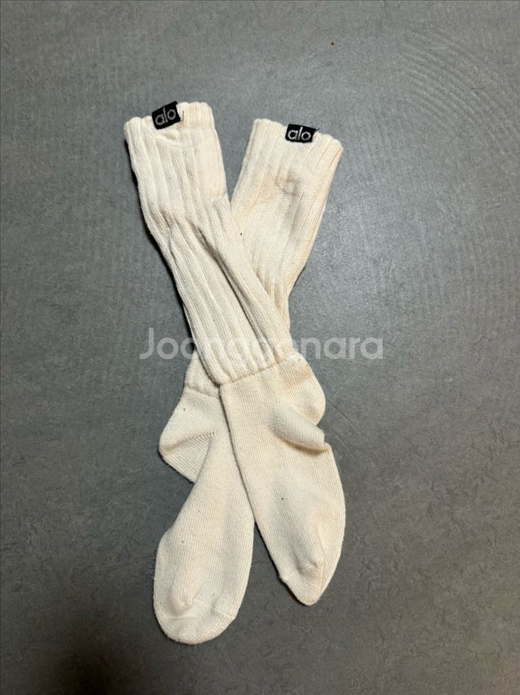 알로요가 롱삭스--1