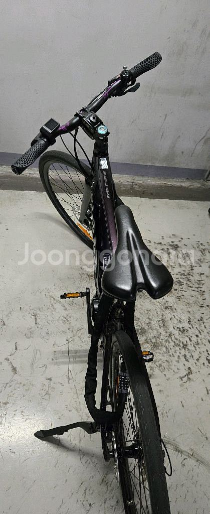 자이언트 전기자전거 패스트sr--3