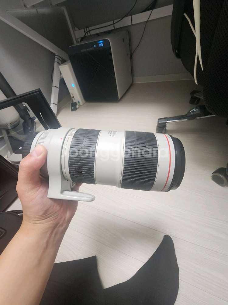 캐논 EF70-200mm F2.8 III 새새아빠백통--0