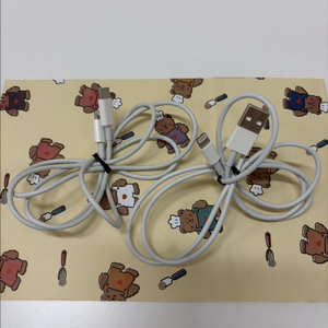 애플 8핀 정품 케이블 (각8천원)