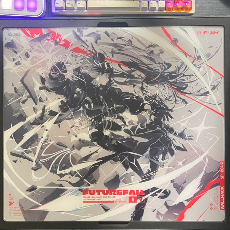 Wallhack sp004 한정판 Future fall 이미지