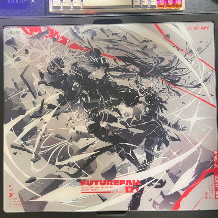 Wallhack sp004 한정판 Future fall 이미지