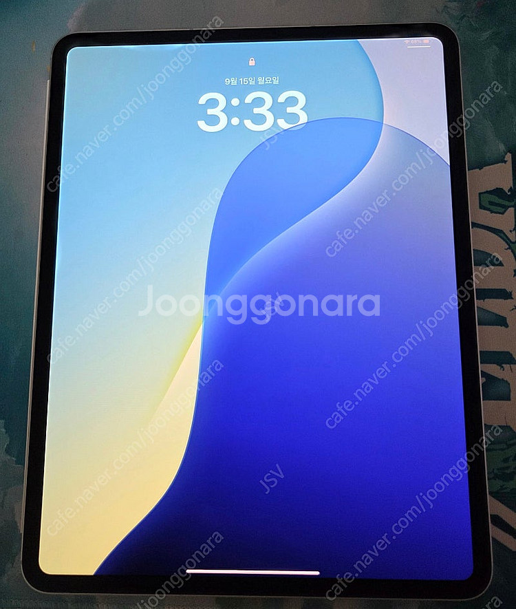아이패드 프로 13인치 M4 실버 256GB/셀룰러--0