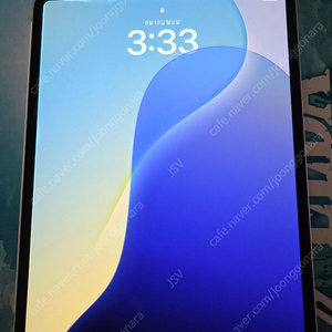 아이패드 프로 13인치 M4 실버 256GB/셀룰러