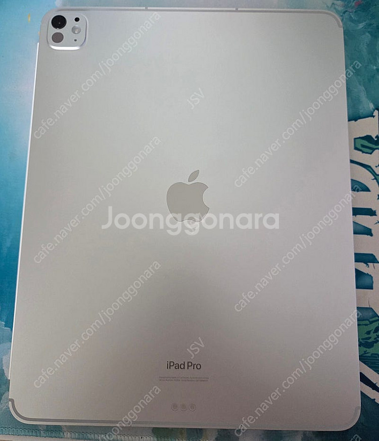 아이패드 프로 13인치 M4 실버 256GB/셀룰러--2