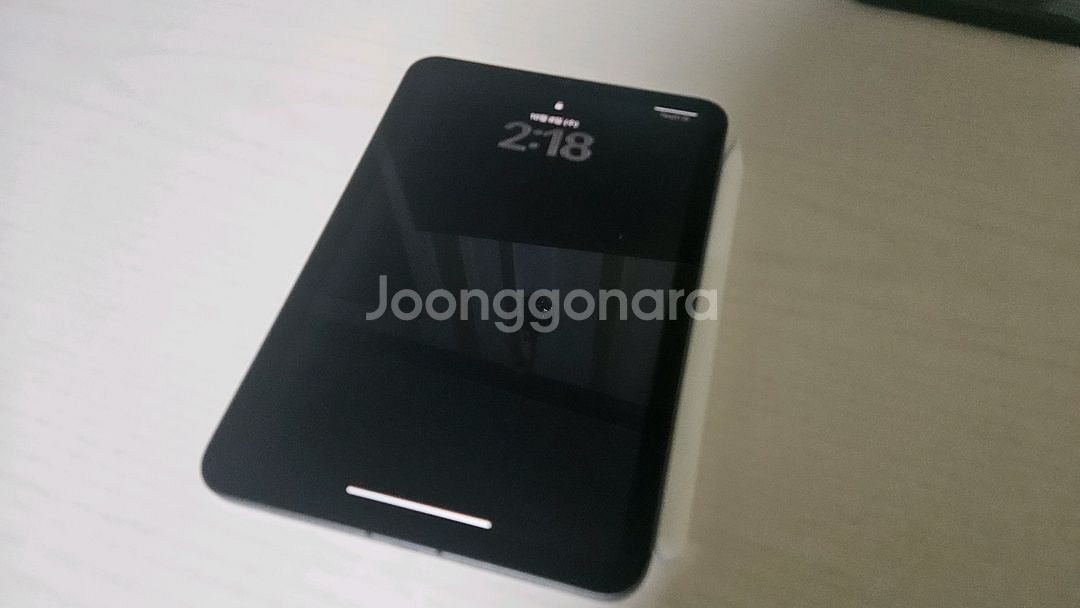아이패드 미니6 스그 셀룰러 256g 애플펜슬 판매--10