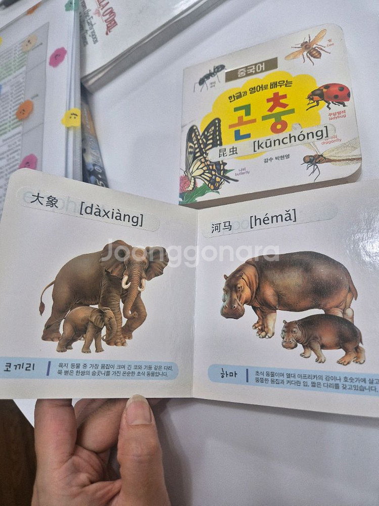 수퍼맘 삼성당 미니영어중국어사전--2