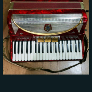 이태리 세티미오 소프라니 아코디언 120 베이스 이탈리