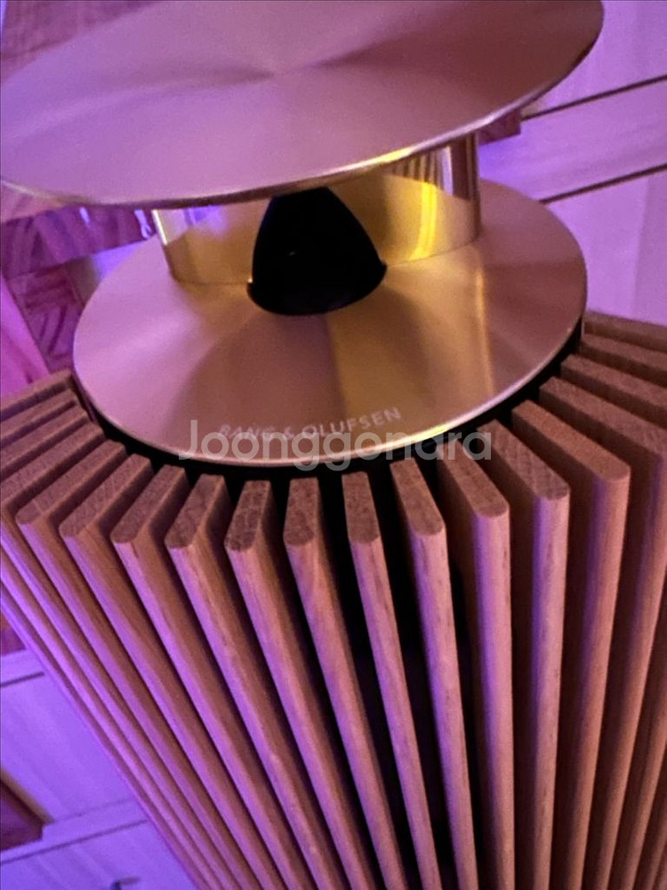 뱅앤올룹슨 BeoLab18 (베오랩18) 팝니다! (갤--1