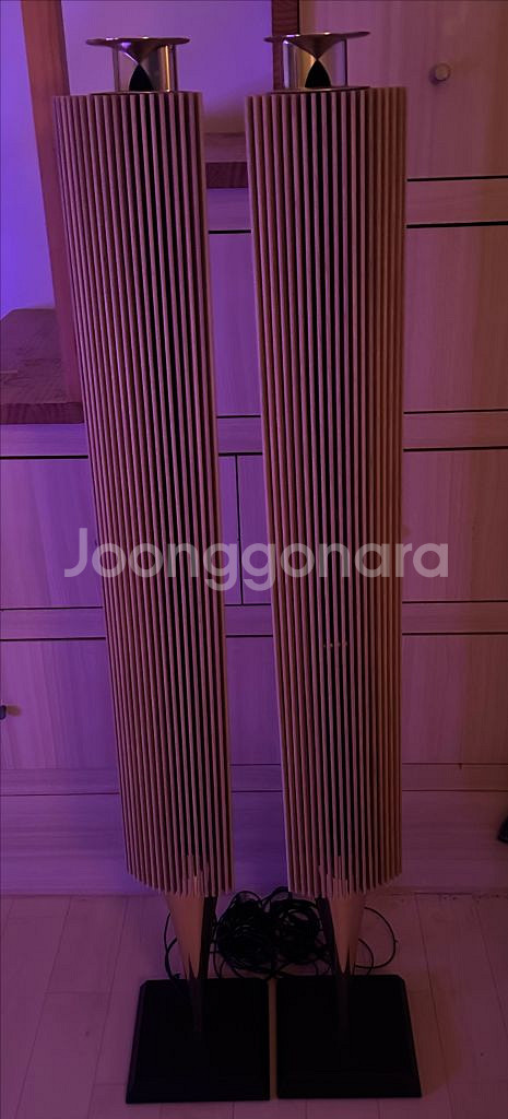 뱅앤올룹슨 BeoLab18 (베오랩18) 팝니다! (갤--0