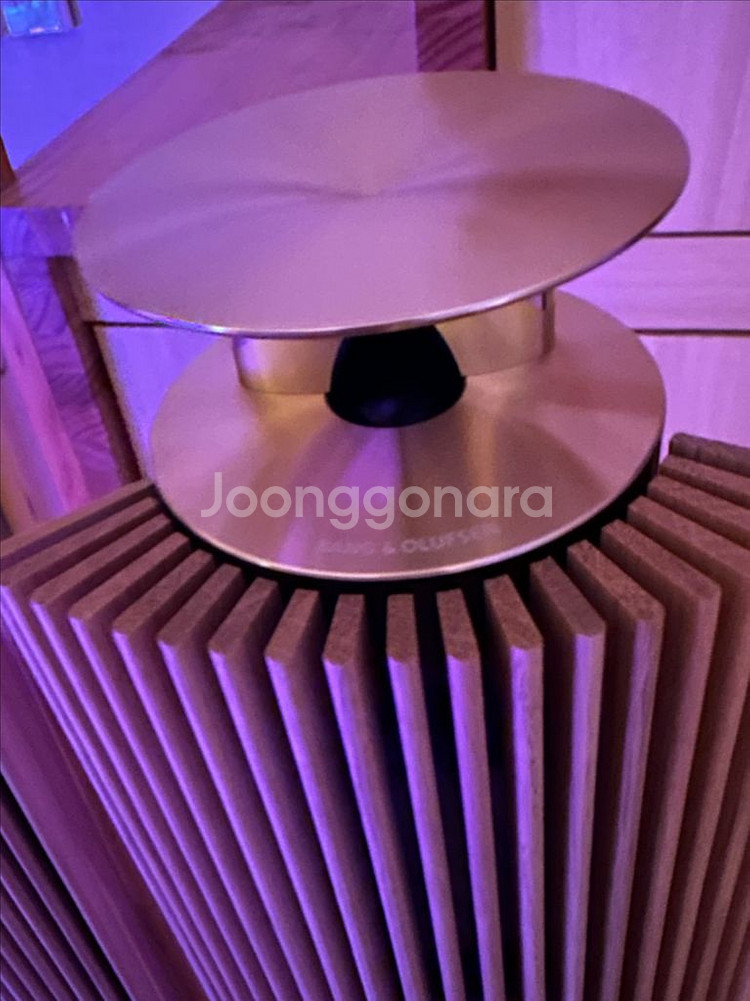 뱅앤올룹슨 BeoLab18 (베오랩18) 팝니다! (갤--2