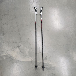 LEKI TRIGGER S 스키 폴대