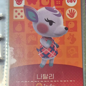 닌텐도 정품 아미보 카드 나탈리