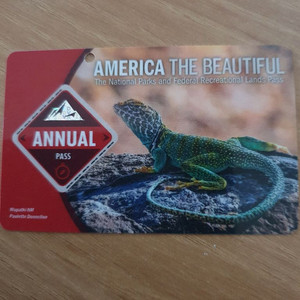 애뉴얼패스 판매