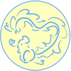 암컷 피그미 다람쥐 분양해 주실분 있을까요?